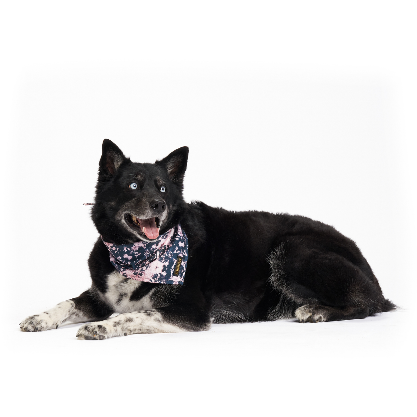 Acid Wash | Dog Bandana