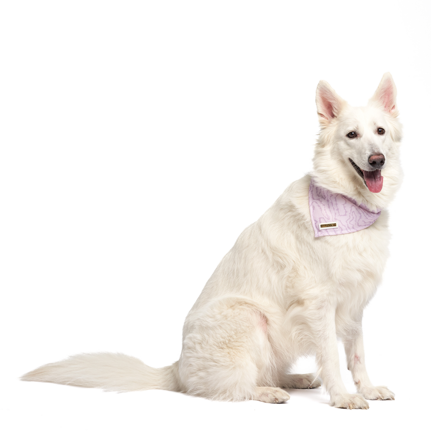 Electric Lilac | Dog Bandana