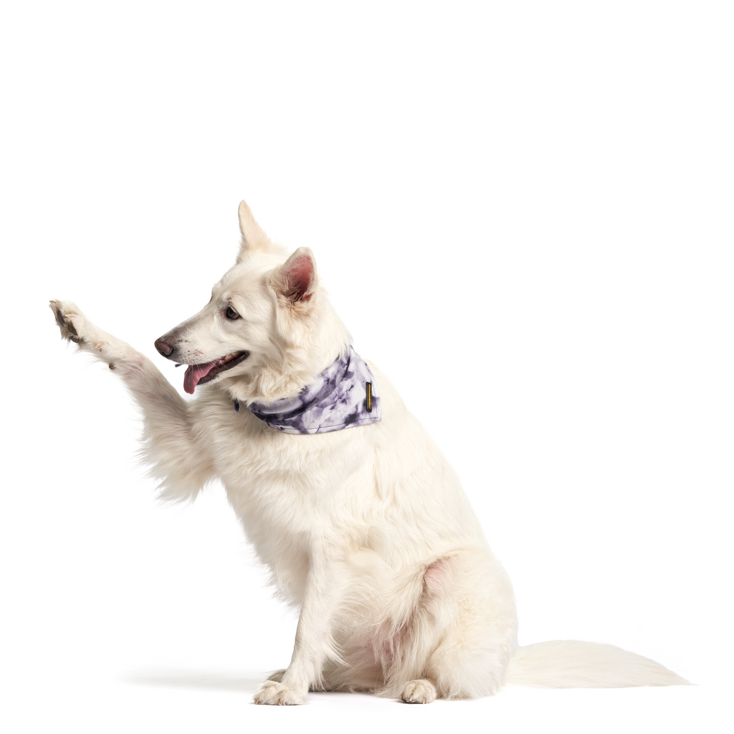 Purple Haze | Dog Bandana