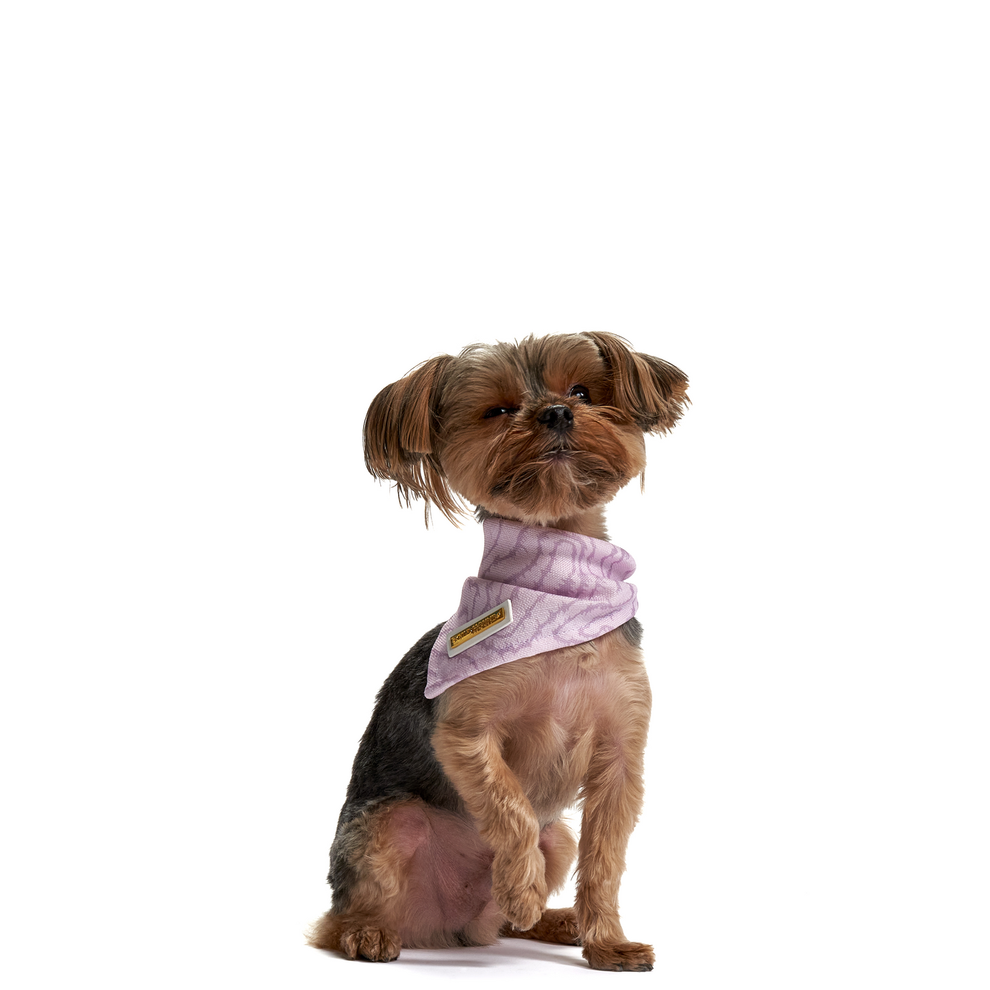 Electric Lilac | Dog Bandana