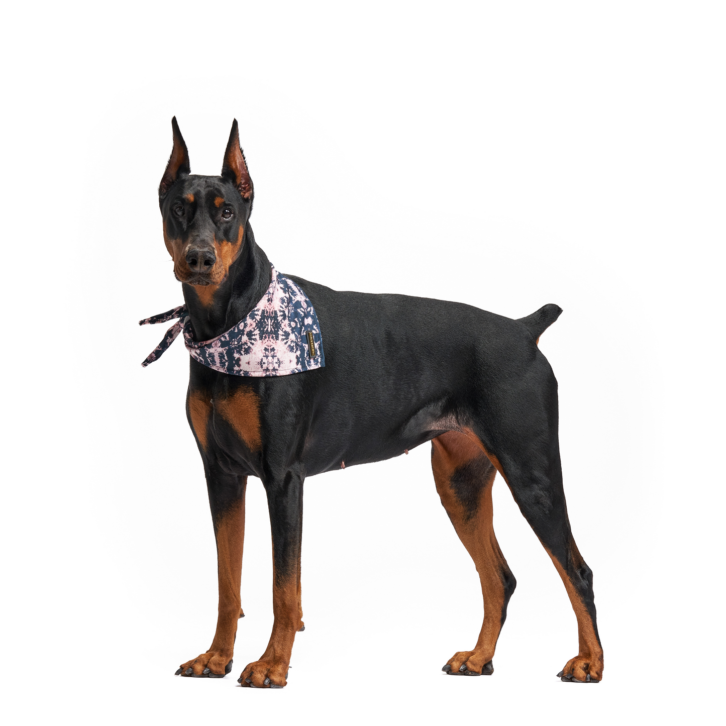 Acid Wash | Dog Bandana