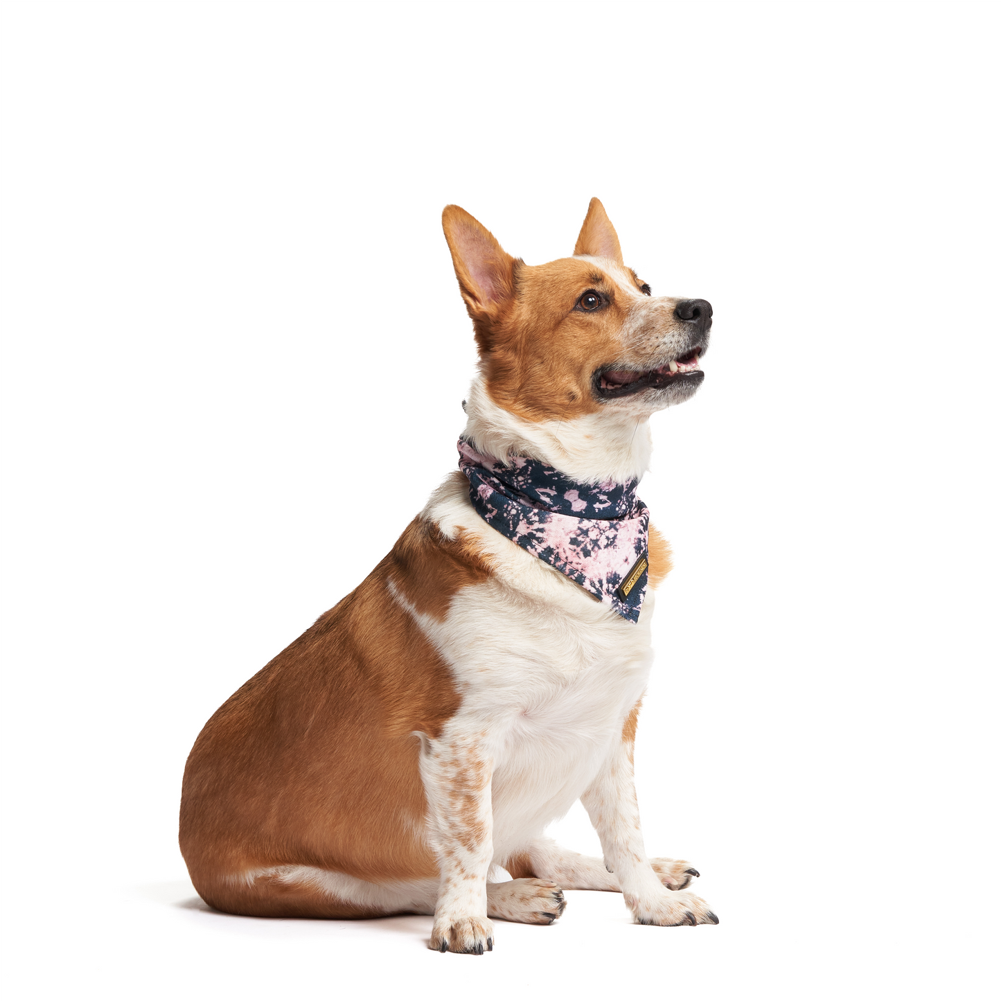 Acid Wash | Dog Bandana